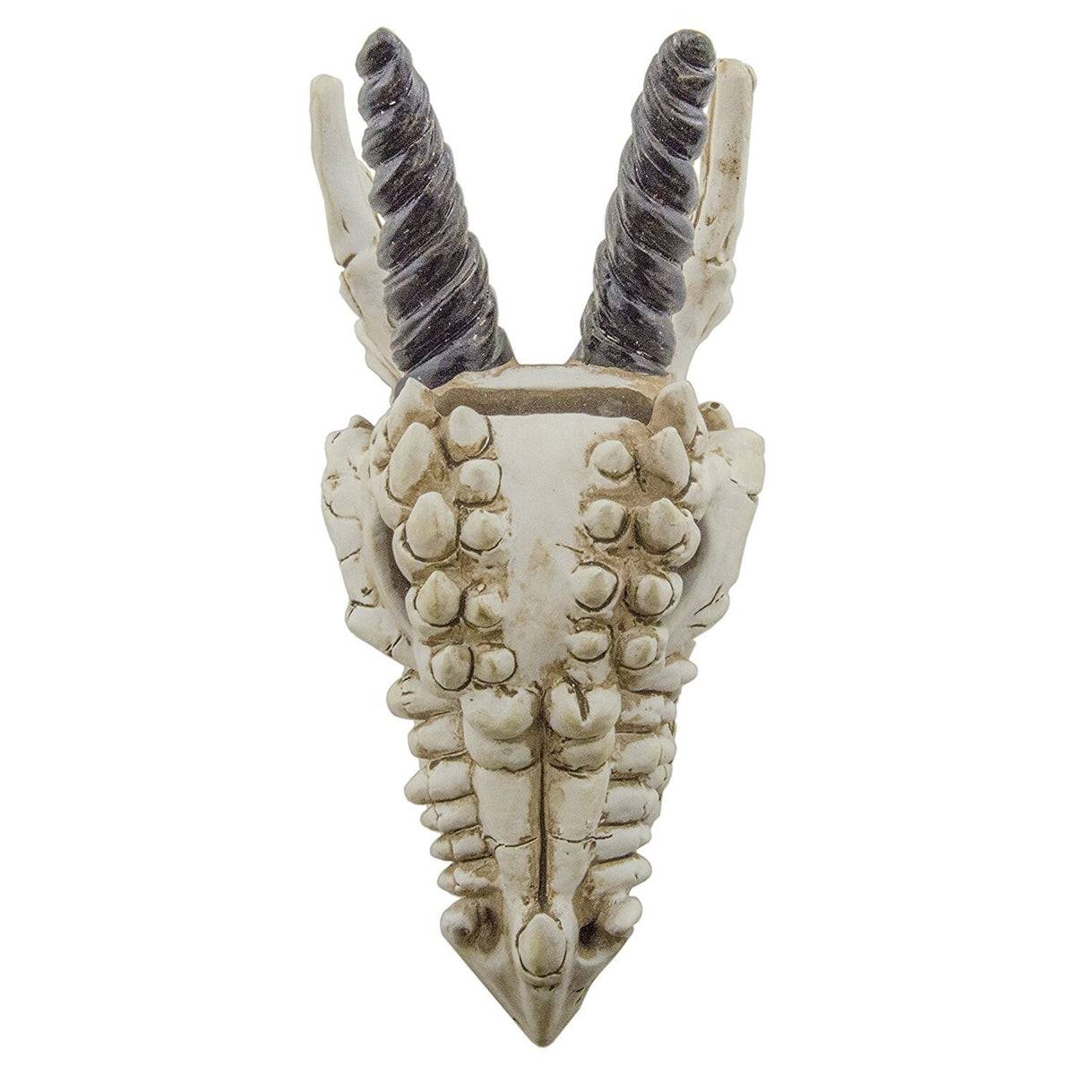 Snarling Magical Dragon Skull Creepy Coin Piggy Bank Polyresin Stash Storage Box