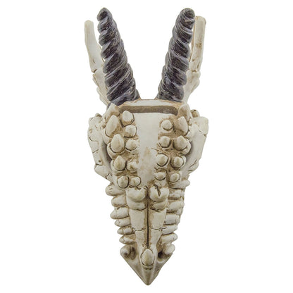 Snarling Magical Dragon Skull Creepy Coin Piggy Bank Polyresin Stash Storage Box