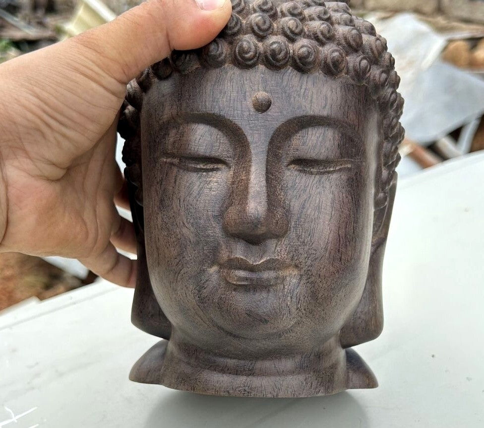 8.3" Natural Agilawood Carved Sakyamuni Buddha Head Statue Buddhism Collect