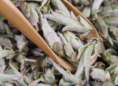 Yunnan Raw Tea Leaves White Buds Spring Tea Raw White Bud Spores Pu'er Raw Tea