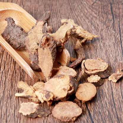 Herbal Garden Burnet Root Radix Sanguisorbae Sanguisorba Officinalis Diyu