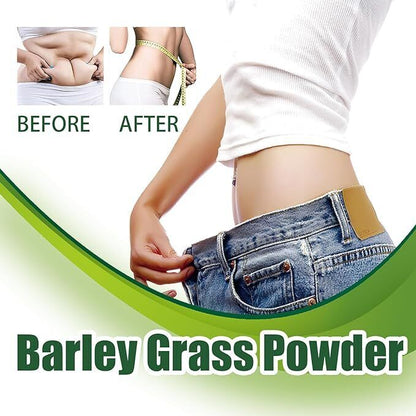 Barley Grass Powder Green Tea Barley Grass Powdered Drink for Immunity Support