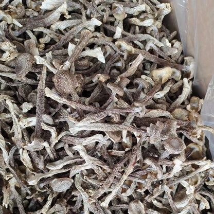 250g Premuim Dried Velvet Mushroom Antler Mushroom Deep Mountain Edible Fungi