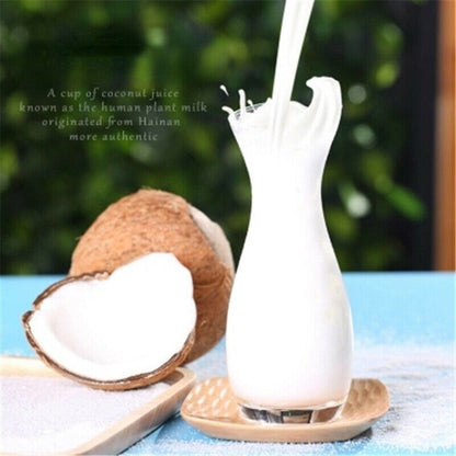 Natural Organic Fruit Powder Chinese Coconut Water Freeze Dried Powder 340g/bag