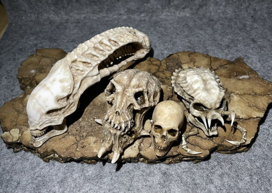 Alien Xenomorph Skull bone model For 1/6 Model Scene
