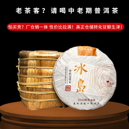 Iceland First Spring Puerh Raw Tea Nectar Flavoured Puerh Tea 357g