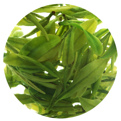 250g Supreme Spring Anji Bai Cha Long Jing White Dragon Well GREEN TEA Loose