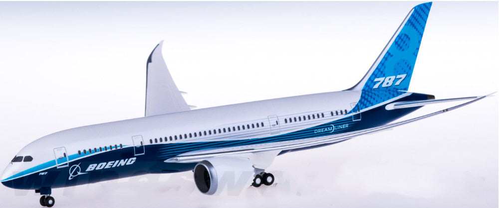 1:200 29CM Hogan BOEING 787-8 Passenger Airplane ABS Plastic Aircraft Model
