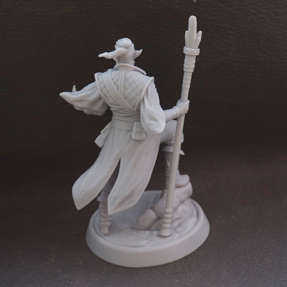 1/24 resin figures model Fantasy Elf Male Warrior Unassembled unpainted