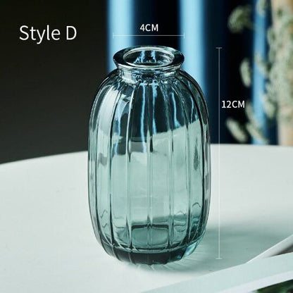Relief Small Glass Vase Hydroponic Terrarium