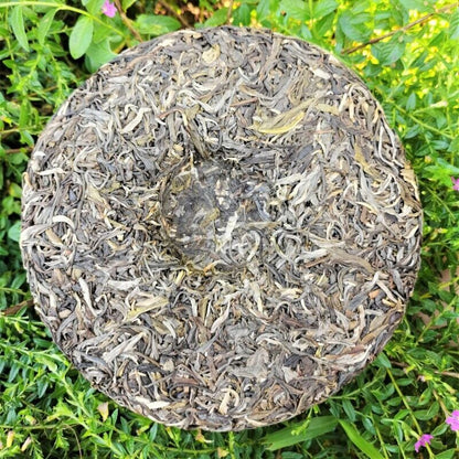12.6oz Nannushan Raw Pu'er Tea Cake Yunnan Meng Ma Pu'er Tea Leaves Cake Tea