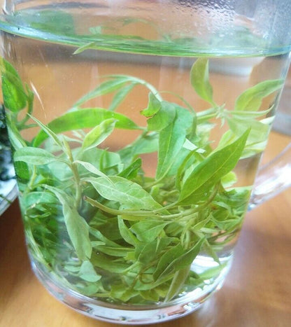 Best Qing Shan Lu Shui Cha,ku ding tea,China bitter stalk tea,Piccola Foglia tee