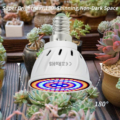 Growth Light Phyto LED B22 Hydroponic E27 Grow Bulb MR16 Full Spectrum 220V UV