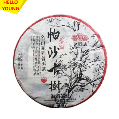 Haiwan Pa Sha Ancient Tree Puer Tea Aged Tree Sheng Puerh Tea 500g