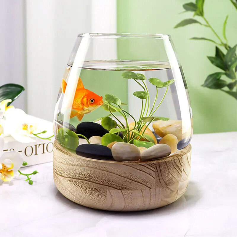 Fish Tanks Transparent Glass Wooden Tray Circular Office Small Goldfish Aquarium