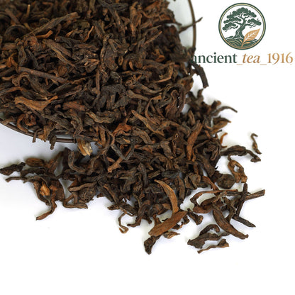 50pcs*8g 2008 yr Pu-erh Puer Puerh Tea Yunnan Ancient Tree Ripe Easy Pack