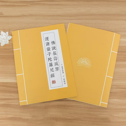 Tradition Buddha Scriptures Beginners Brush Copy Calligraphy