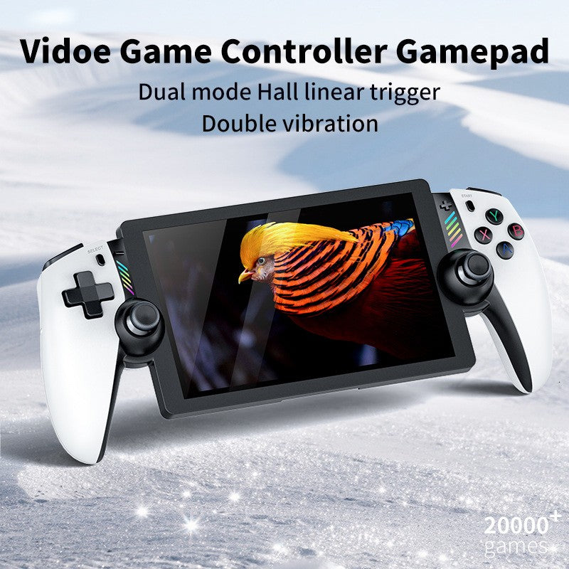 Classic Retro 3D Dual Joystick 7-Inch Gaming Console with Large PS2 Game Support
