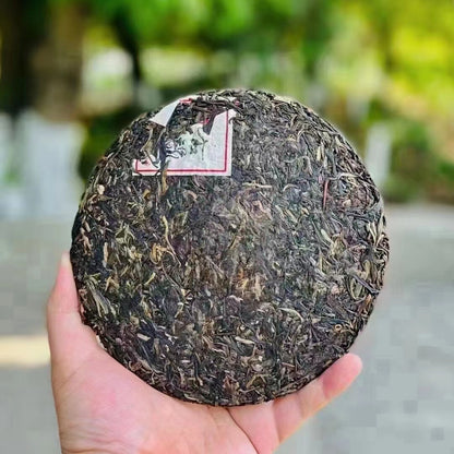 357G Yunnan Senior Pu'er Tea 2013 Lancang Old Pu'er Raw Tea Cake Pu'er Cake Tea -