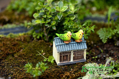 Decoration Ornaments 3pcs/lot Gorgeous Parrot Moss Micro Landscape Material