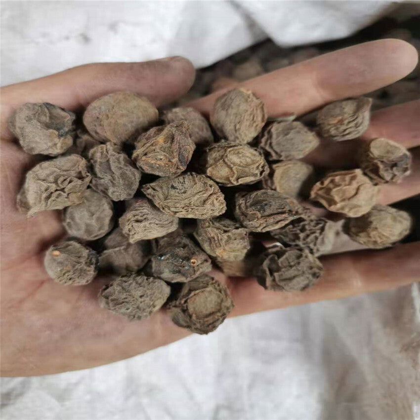 Dried black plum with sundried black plum乌梅