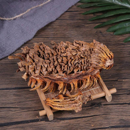 Dried Sago Palm Flower Natural Herbal Cycas Revoluta Tie Shu Hua Top Quality