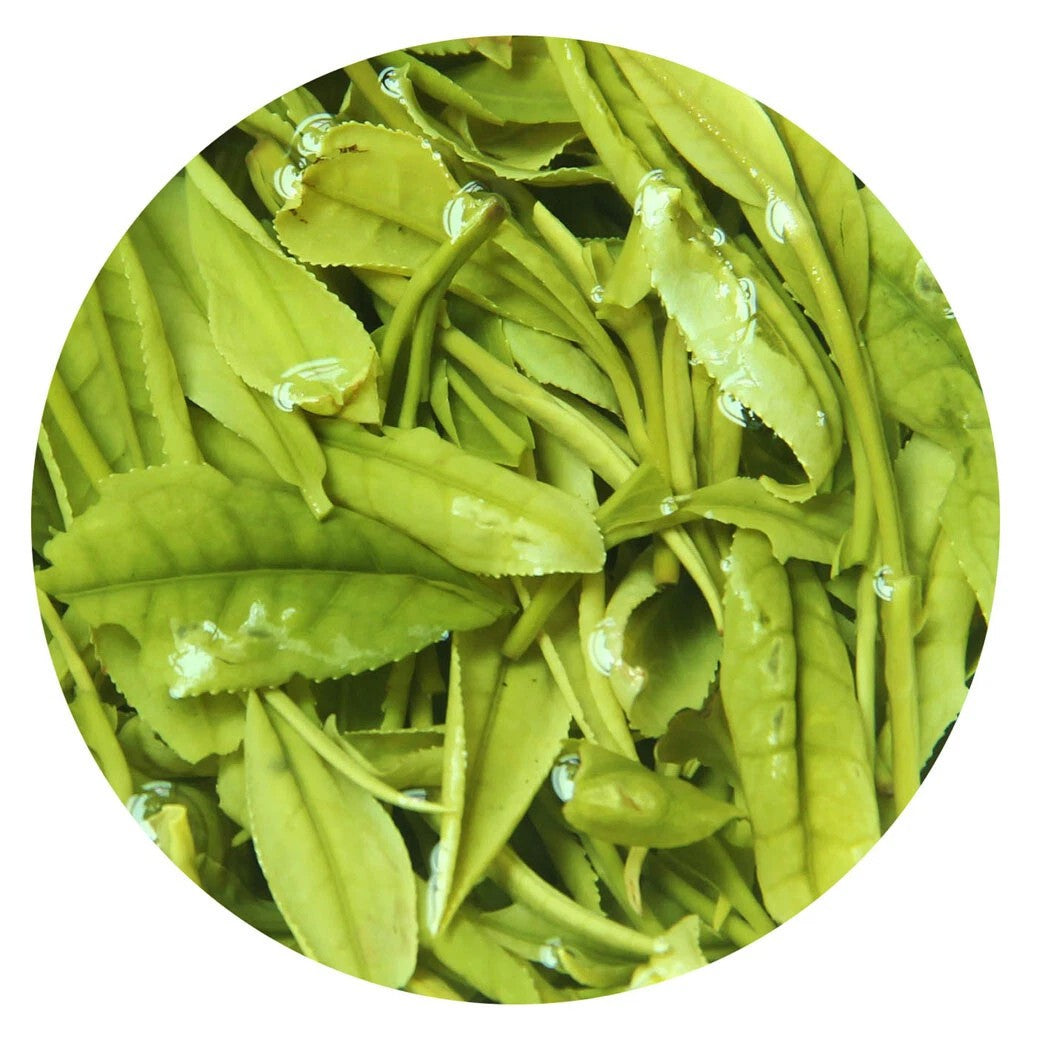 500g Premium Anji Baicha Baipian White Slice Tea Spring Chinese GREEN TEA