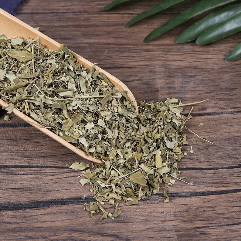 Horseradish Tree Leaf Drumstick Tree Leaves Moringa Oleifera Lamuye Top Quality
