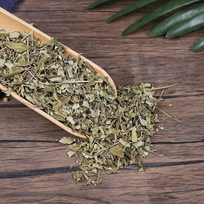 Horseradish Tree Leaf Drumstick Tree Leaves Moringa Oleifera Lamuye Top Quality