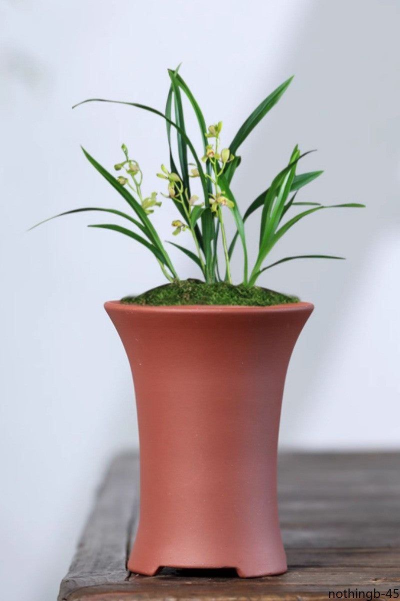 Purple Sand Green Plant Pot Tabletop Pot Succulent Pot -