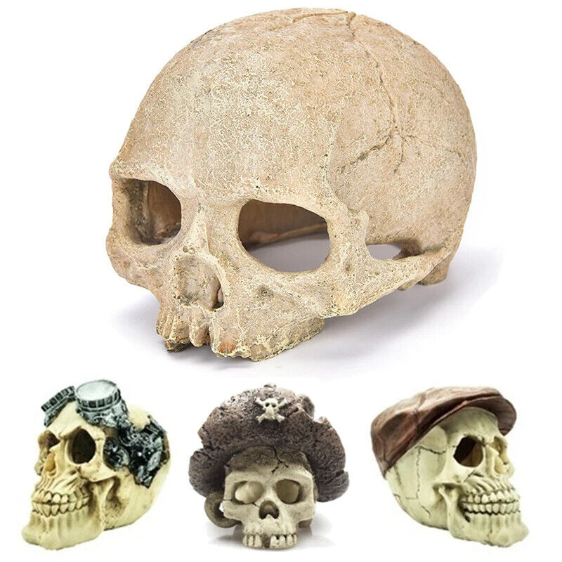 Aquarium Decoration Resin Pirate Skull Skeleton Head Lizards Terrarium Ornaments