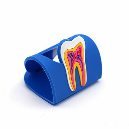 Dental Clinic Tooth Card Display Stands Colorful Rubber Teeth Molar Holder Decor
