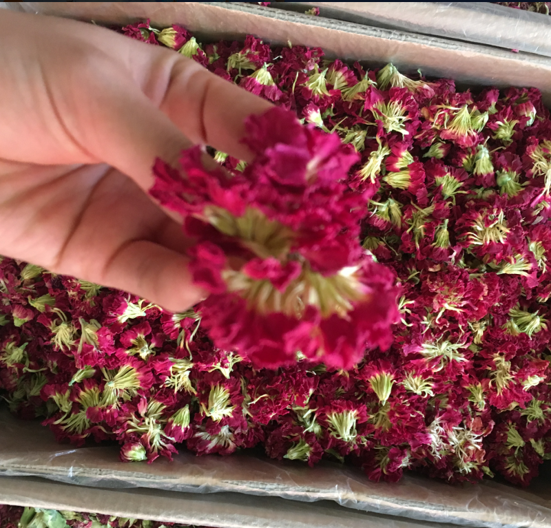 Dried Carnation Flowers Natural Tea, Vegan, Edible Biodegradable new