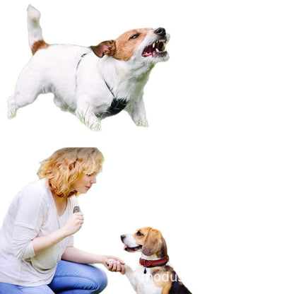 Hot selling ultrasonic dog trainer, bark stop device, ultrasonic safety trainer