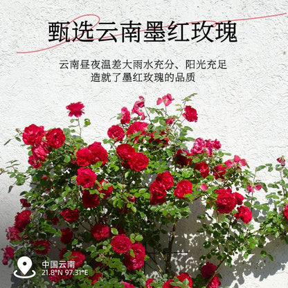 Yunnan Organic Freeze-Dried Dark Red Rose - Rose Cold Brew Tea, Beauty Tea.