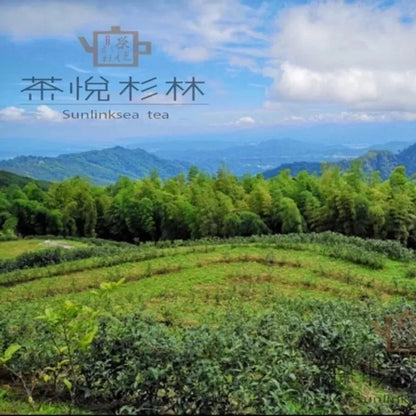 Taiwan unique tea,Oolong Tea-Honey flavor,Zhengshan Oolong tea 150g*4