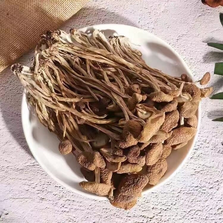 Natural Tea Tree Mushrooms agrocybe cylindracea Dried Mushrooms Kitchen Food