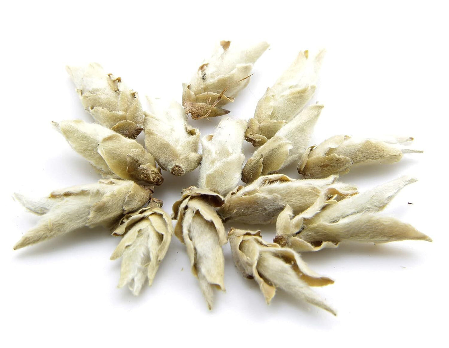 Early Spring Yunnan Puerh Tee Sonnengetrocknete Weiße Knospe Puerh Tee 50g/1.8oz