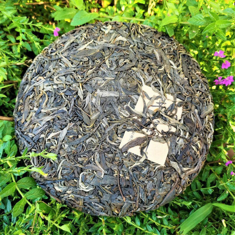 Yunnan Qizi Cake High Quality Green Tea 357g Xigui Ancient Tree Pu'er Tea