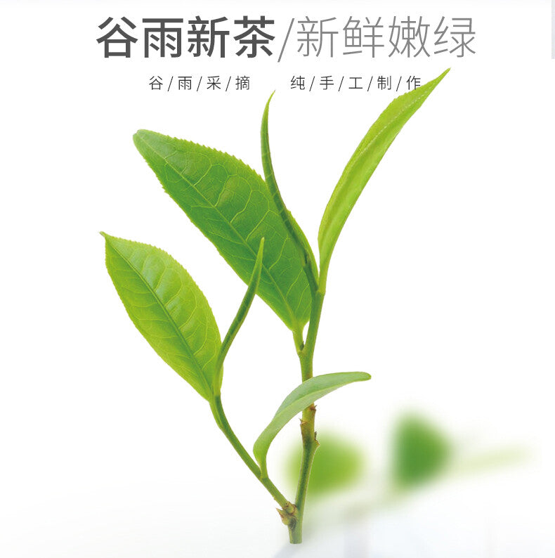 Premium Spring Lu Shan Yun Wu Cloud Fog Mount Lu Cloud Mist Chinese Green Tea