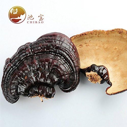 Natural Lingzhi Lucidum Tea Health Dried Red Reishi Mushrooms Ganoderma 500g