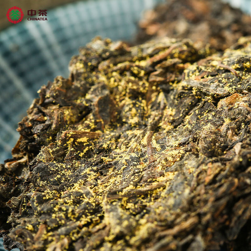 CHINATEA Jinhua MM Hunan Anhua Golden Flowers Fucha Dark Tea Brick Fu Zhuan 360g