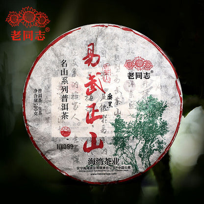 2022 Haiwan Yi Wu Zheng Shan Raw Purerh Tea Ma Hei Mountain Sheng Puer Tea 500g