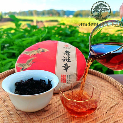 Pu-erh Puer Puerh Tea 357g 2003 Yunnan Menghai Banzhang Ancient Tree Ripe Cake
