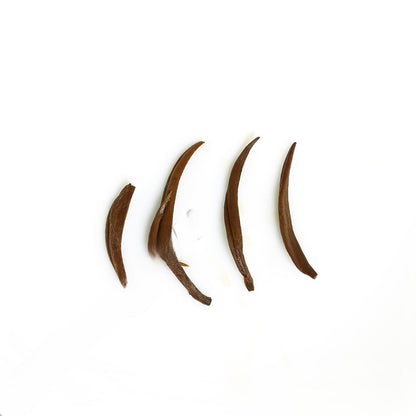 HELLOYOUNG 100g/3.52oz Supreme Wuyi Jinjunmei Eyebrow Black Tea Loose Golden Bud