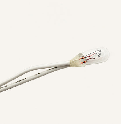 12V Incandescent Lamp with 6" LeadsPack of 100