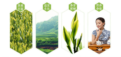 250g Premium Dian Hong Famous Yunnan Black Tea Dianhong TEA 58 Series Black Tea