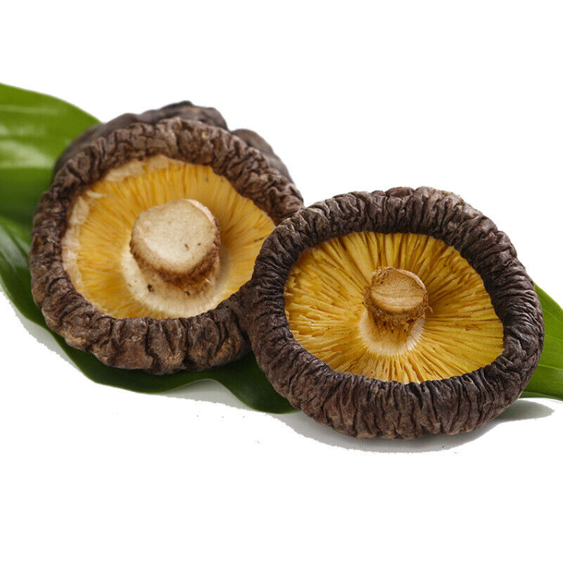 250g Chinese Dried Mushroom 4-5cm Glossy Mushroom Fujina Winter Dried Shiitake
