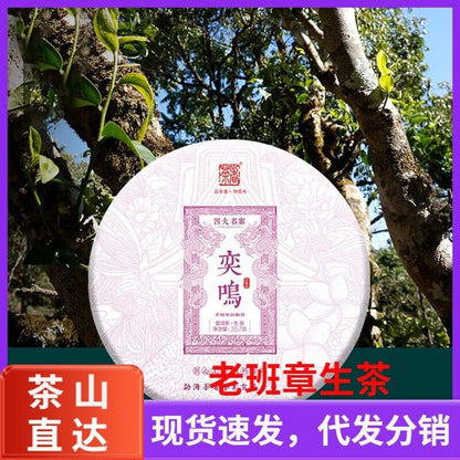 357g Puerh Cake Tea Banzhang Aged Four Famous Villages Yunnan Raw Pu'er Tea