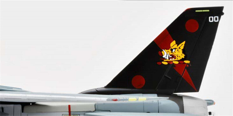 for Century Wings F-14B Tomcat U.S Navy VF-11 Red Rippers AG200 2004 1/72 Model